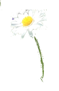 Coaching-Tipp: Entscheiden - Realität und Wirklichkeit